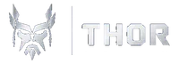 THOR Security Group