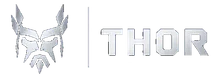 THOR Security Group Logo