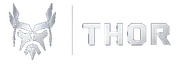THOR Security Group